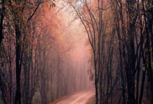 探索教育资料下载平台，数字化时代的学习革命