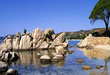 英语老师教育理念，激发兴趣，培养能力，塑造未来