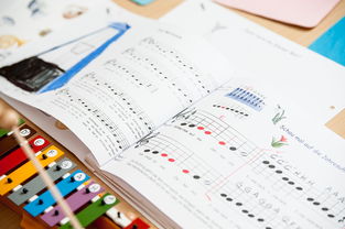 成长与教育,高中作文素材的探索之旅 成长与教育,高中作文素材的探索之旅