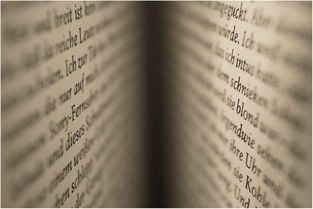 如何撰写幼儿园心理健康教育记录表