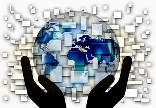 中国教育体系的亮点与优势