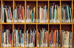 我的教育成长故事，从学生到教育工作者的蜕变