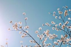 成长的足迹，教育的力量