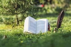 在爱与智慧中成长—幼儿园教育故事