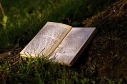 点亮心灵之光，教育故事分享美篇