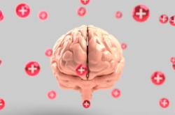 心理指导手册，塑造健康心理，促进全面发展