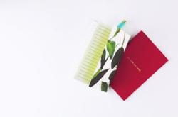 用爱和智慧陪伴孩子成长，培训心得