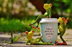 培养阳光心态，幼儿园心理健康指导美篇