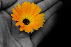 幼儿园心理健康与指导，培养未来的心灵花园