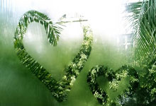 英语老师教育理念，激发兴趣，培养能力，塑造未来