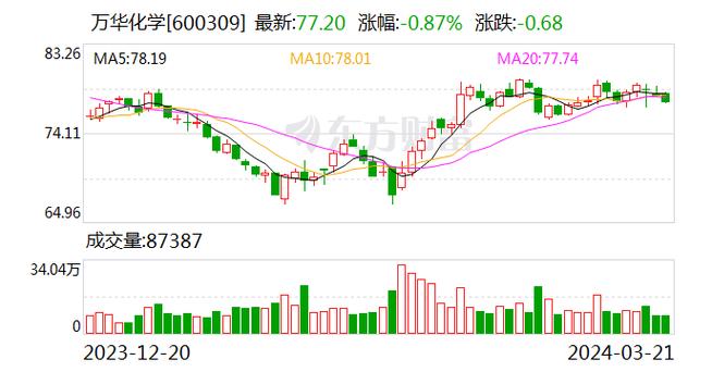 信业科技股票分析与投资建议