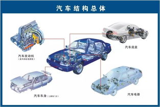 汽车车体结构图幼儿园