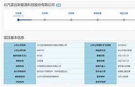 北汽蓝谷股价飙升信达证券买入评级背后的深度解析