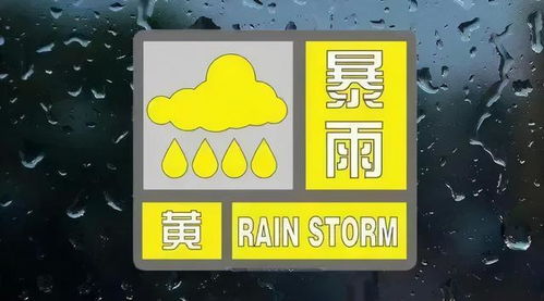 收到暴雨预警信息后，这些措施要做到