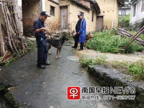 两岁女童深山奇迹生还记