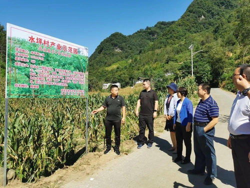 鼓起乡亲们的钱袋子，土特产带动乡村经济繁荣