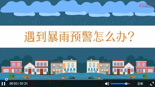 不同级别暴雨预警应对手册，守护家园与安全的行动指南