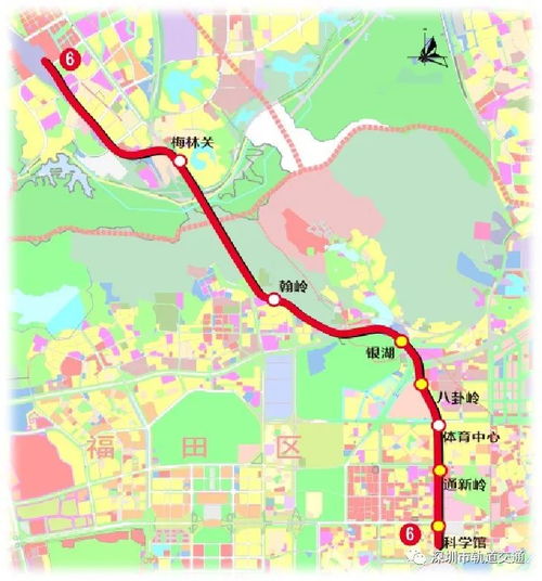 深圳地铁6号线站点详析及运营管理策略