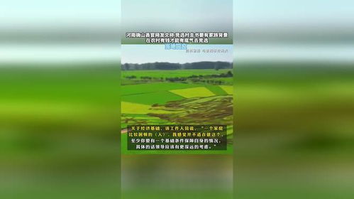 竞选村支书与家族背景，官方回应