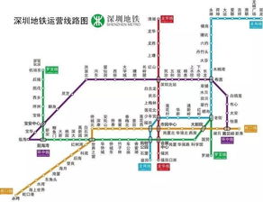 深圳地铁线路图更新解读与出行指南