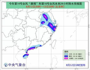 台风摩羯致海口文昌经济损失近600亿，挑战与重建