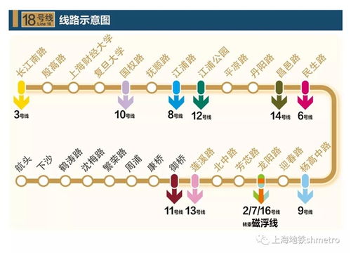 地铁六号线线路图解析与运营管理建议