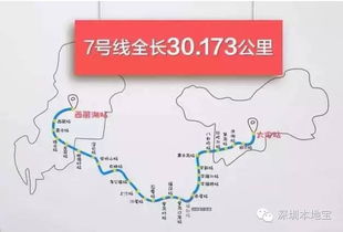 深圳地铁9号线运营管理报告及优化建议