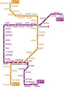 天津地铁5号线站点详解及运营管理指南