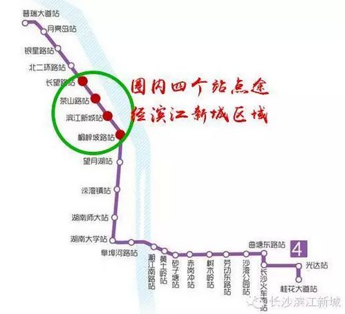 上海地铁4号线线路解析与运营管理建议