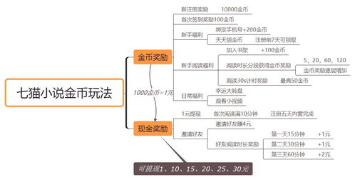 8号线运营管理报告及优化建议