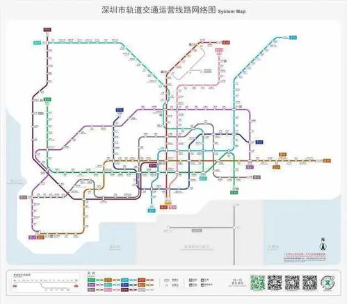 深圳地铁8号线运营情况报告与未来规划