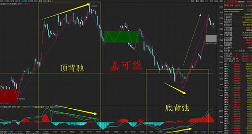 沪指重返荣耀之巅，A股全线大涨