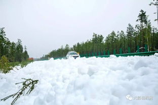 中国最北城市漠河的初雪降临