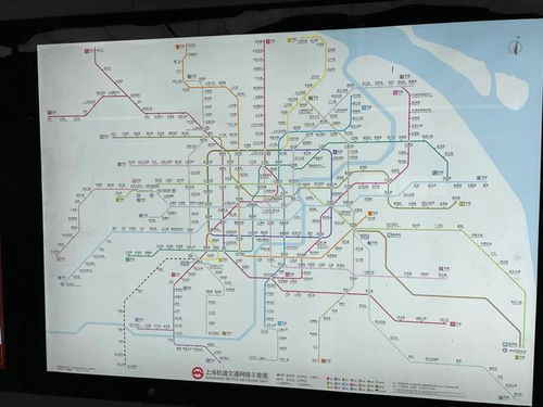 上海地铁8号线运营指南及路线详解