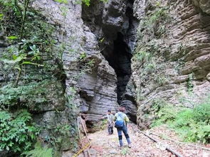 退休教授嵩山野线徒步坠崖去世，一次未竟的探索之旅