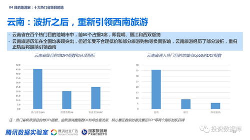 市场策略与消费者影响分析