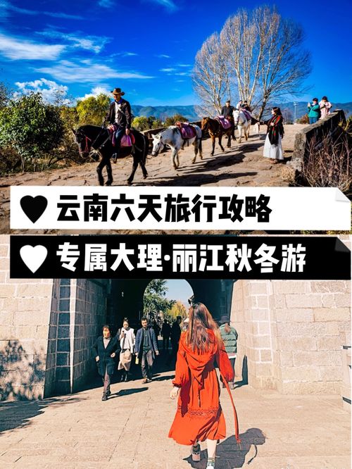 旅行者的贴心指南