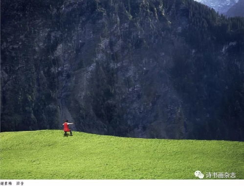 穿越黑土地的诗意旅程