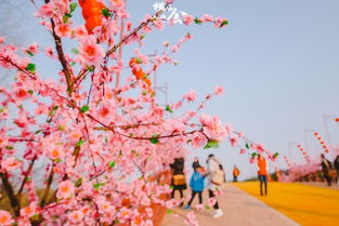 一段穿越时空的旅程