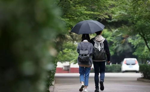 大学生情侣分手，探讨恋爱期间的经济纠葛与法律责任