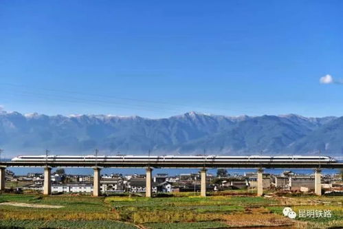 从成都到上海的动车之旅，舒适、便捷与风景