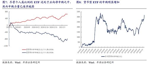 价格、性能与市场表现的全面解析