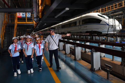 从北京到成都的动车之旅，探索中国高铁的魅力与便利