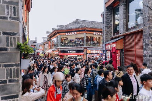 从繁华魔都到魅力石家庄，一场跨越千里的城市之旅