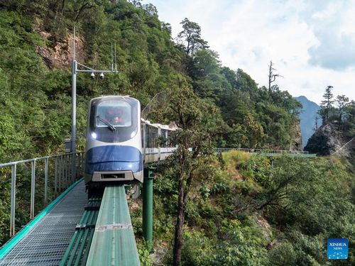 从重庆到上海的动车之旅，舒适、便捷与风景如画