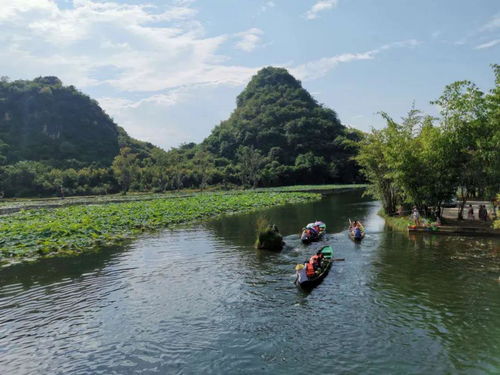 从重庆到上海的动车之旅，舒适、便捷与风景如画