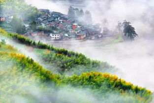 从贵阳到六盘水，一段连接山城与凉都的奇妙旅程