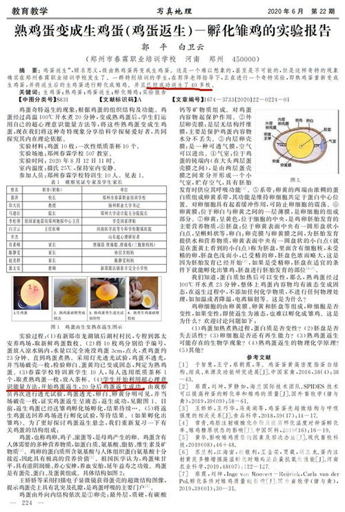 探索撞车现象，杨植麟与梁文锋论文的启示与反思