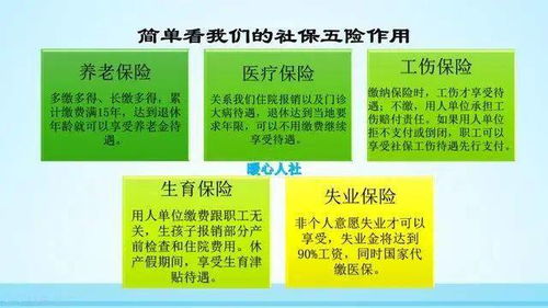 年轻人居家造金，月入5万的秘密与策略