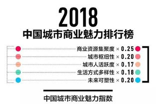 城市交通中的卓越表现与管理挑战